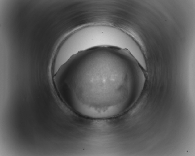 X0000088850944200706151715