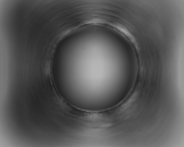 X0000088850945200706151715