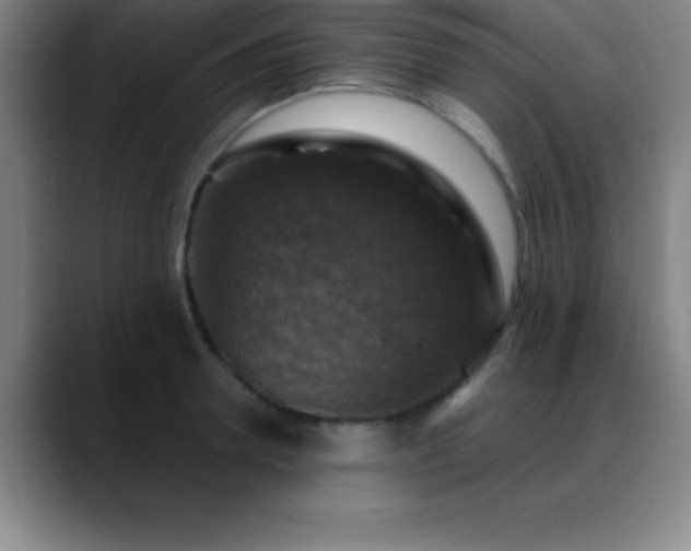 X0000088850946200706151715