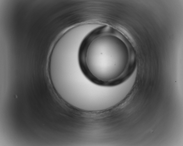 X0000088850948200706151715