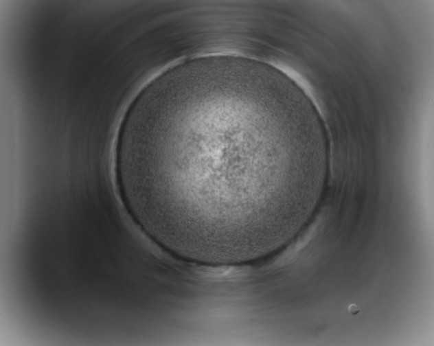 X0000088850949200706151715