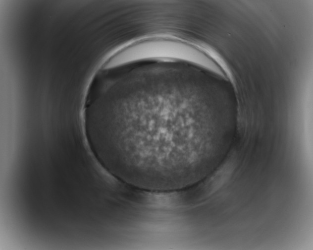 X0000088850951200706151715