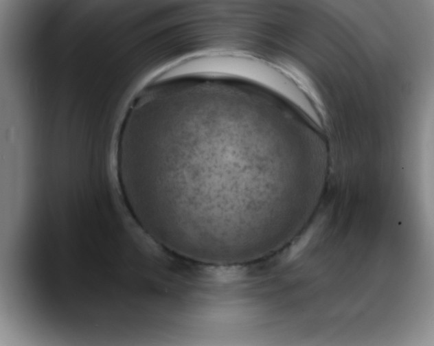 X0000088850952200706151715