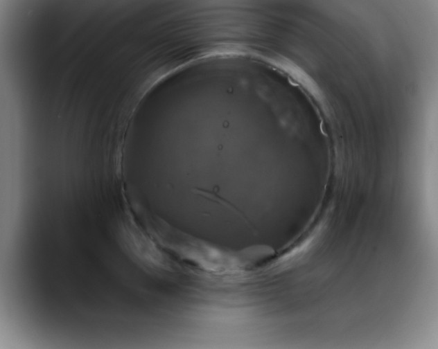 X0000088850953200706151715