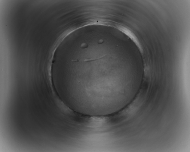 X0000088850954200706151715