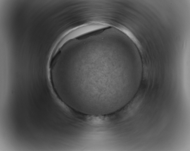 X0000088850955200706151715