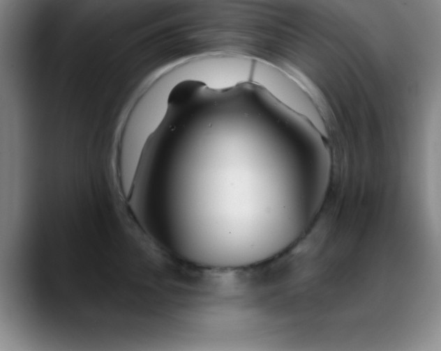 X0000088850956200706151715