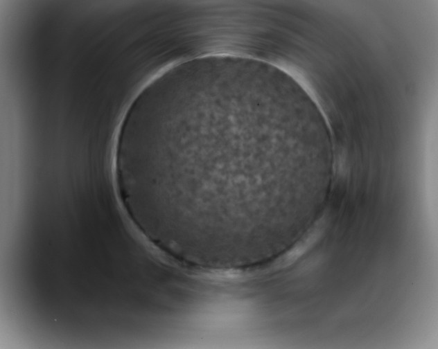 X0000088850957200706151715