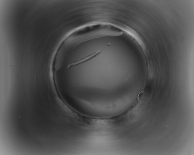 X0000088850958200706151715