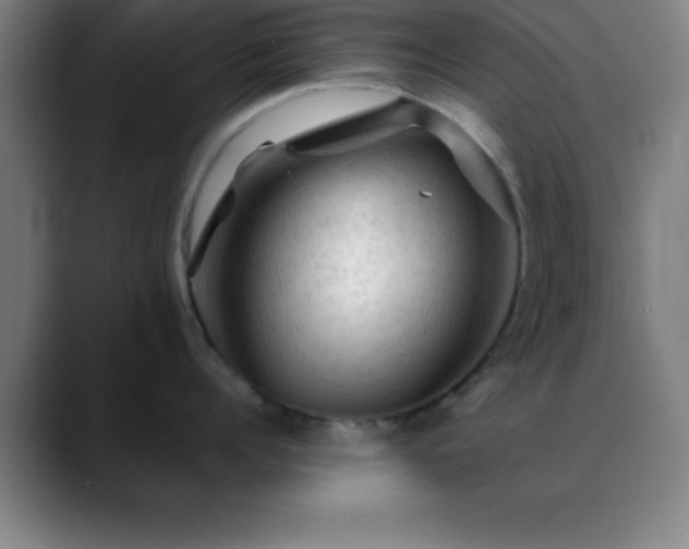 X0000088850960200706151715