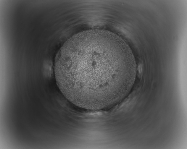 X0000088850963200706151714