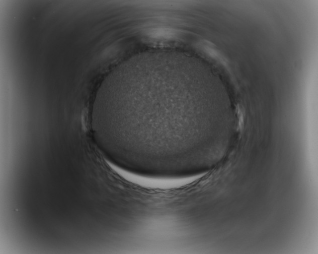 X0000088850965200706151714