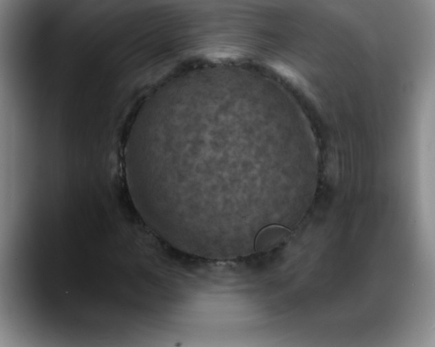 X0000088850966200706151714
