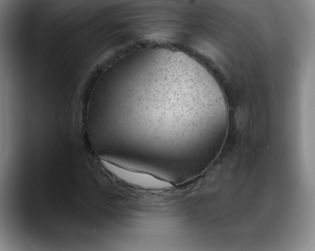 X0000088850968200706151714