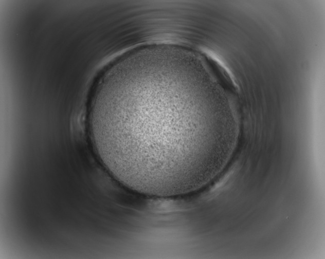 X0000088850971200706151714