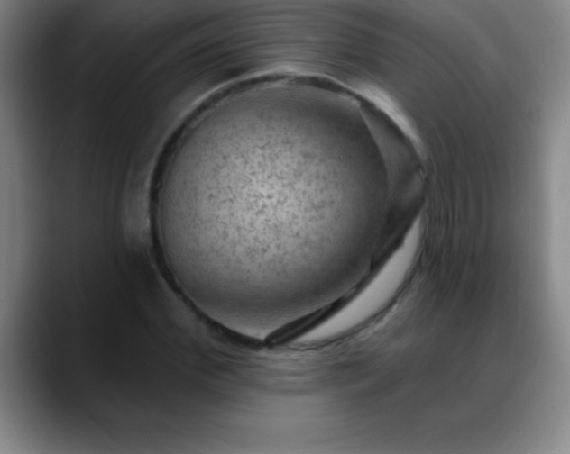 X0000088850972200706151714