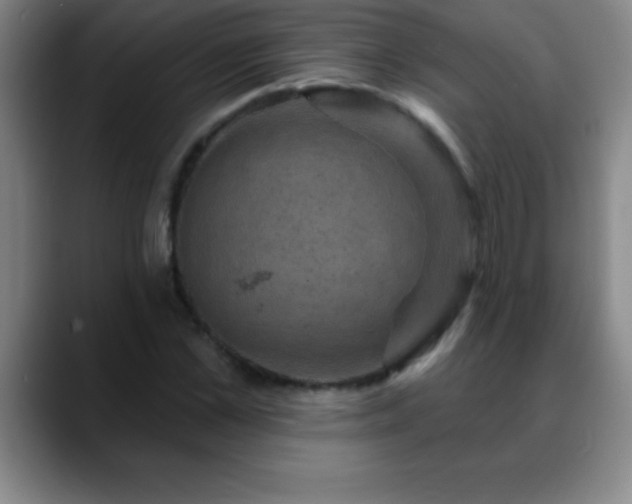 X0000088850973200706151714