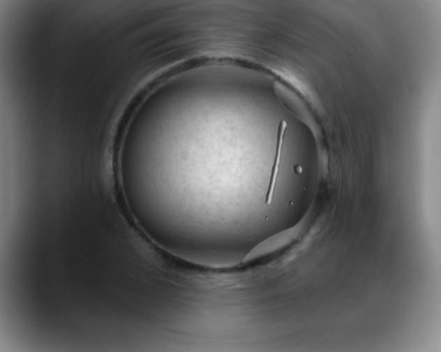 X0000088850976200706151714