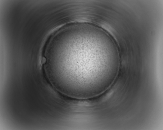 X0000088850979200706151714