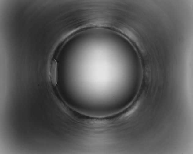 X0000088850981200706151714