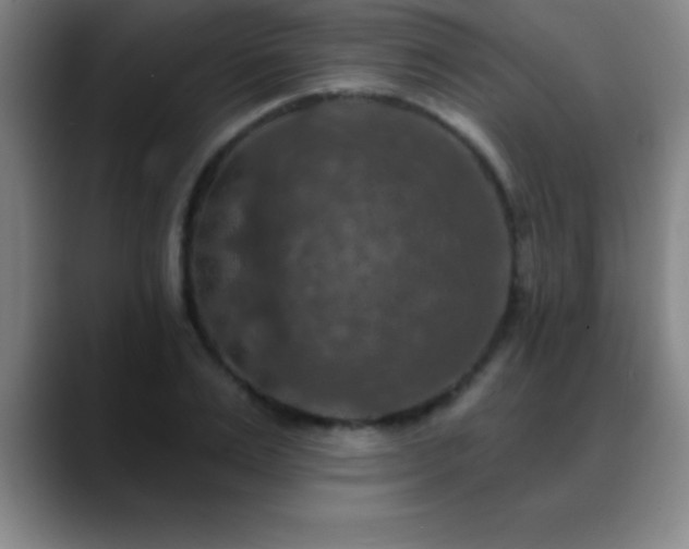 X0000088850983200706151714