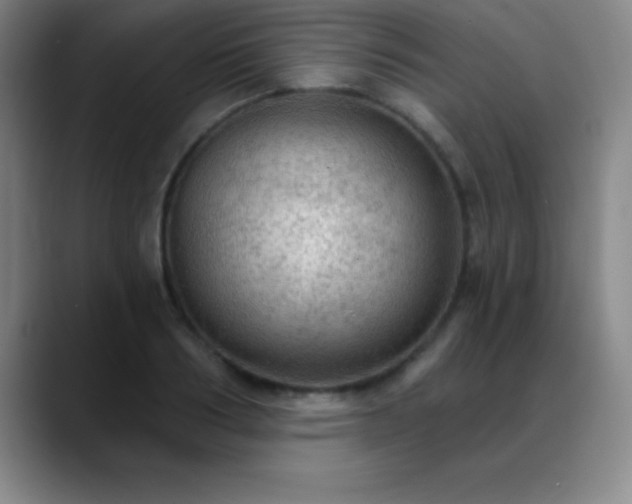 X0000088850986200706151714