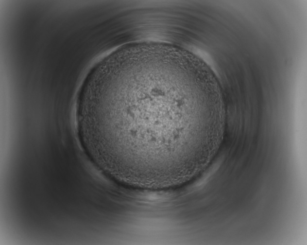 X0000088850987200706151714