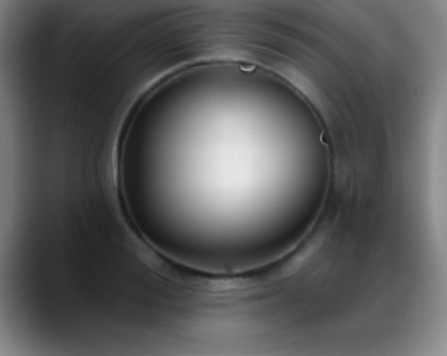 X0000088850988200706151714