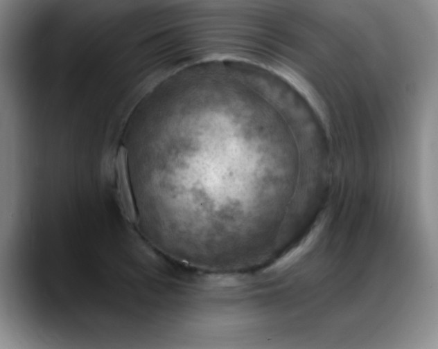 X0000088850993200706151714