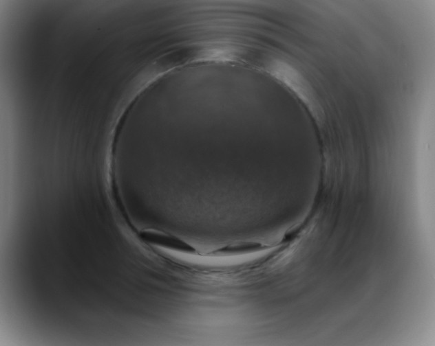 X0000088850994200706151714
