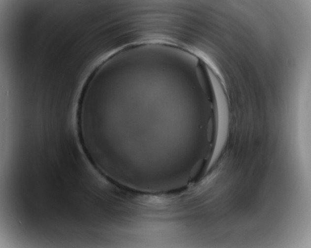 X0000088850995200706151714