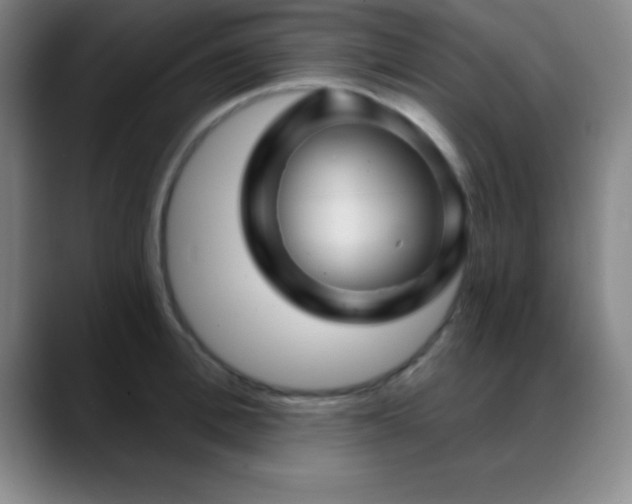 X0000088850996200706151714
