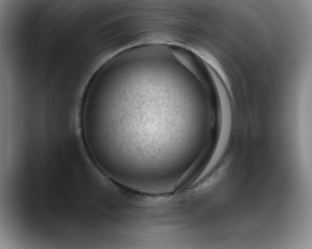 X0000088850997200706151714