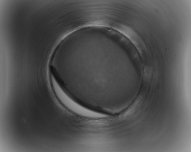 X0000088850998200706151714