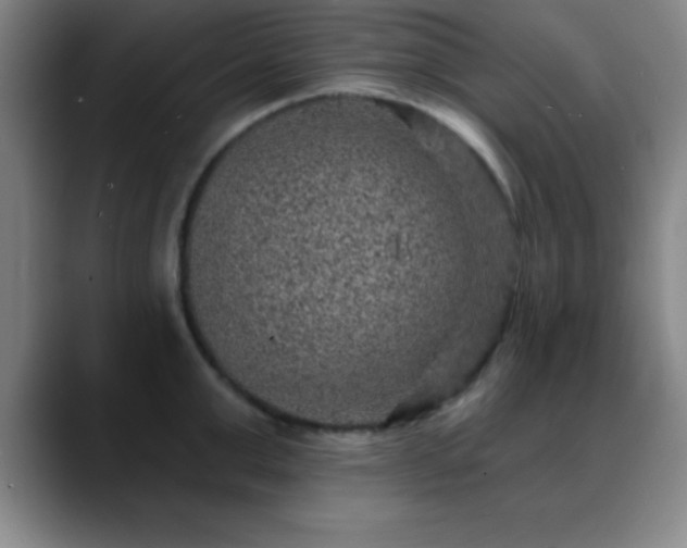 X0000088850999200706151714