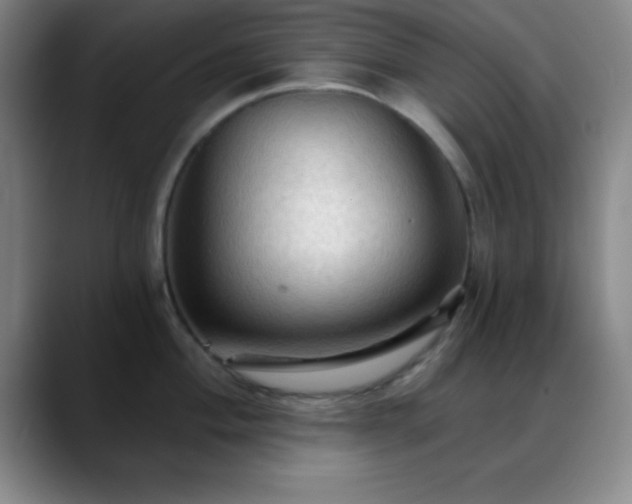 X0000088851004200706151714