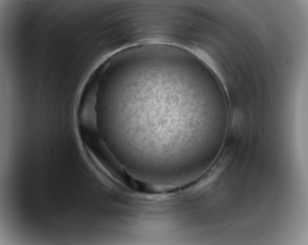 X0000088851005200706151714