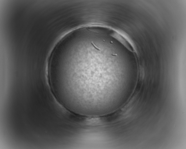 X0000088851006200706151714