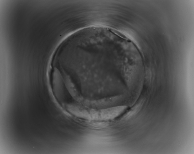 X0000088851007200706151714