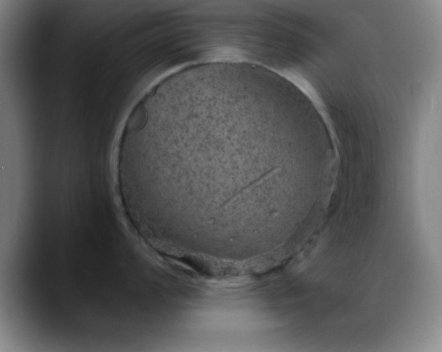 X0000088851008200706151714