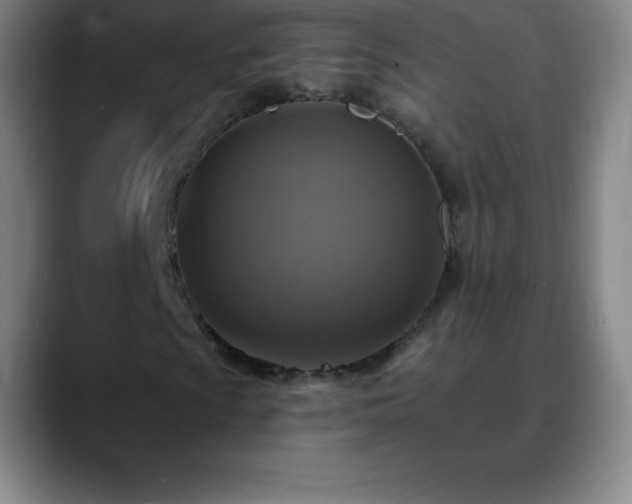 X0000088851009200706151713