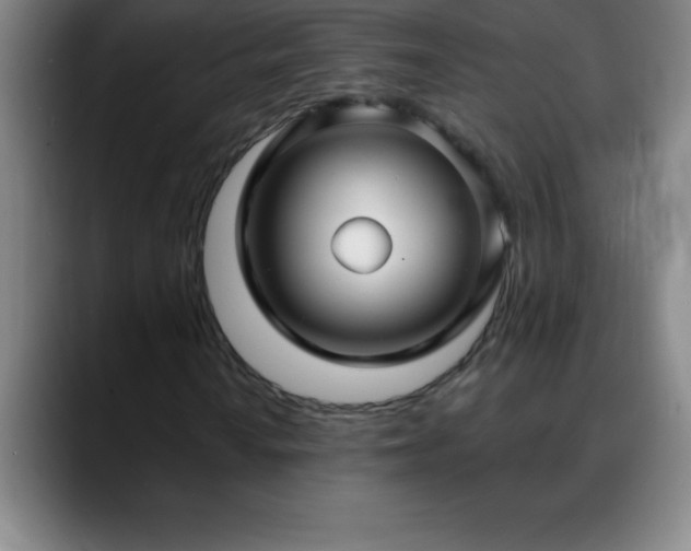 X0000088851010200706151713