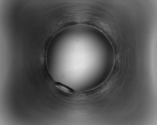 X0000088851012200706151713