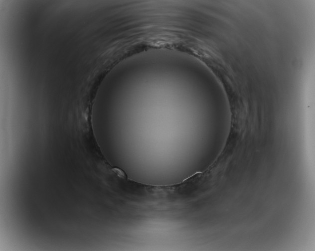 X0000088851013200706151713