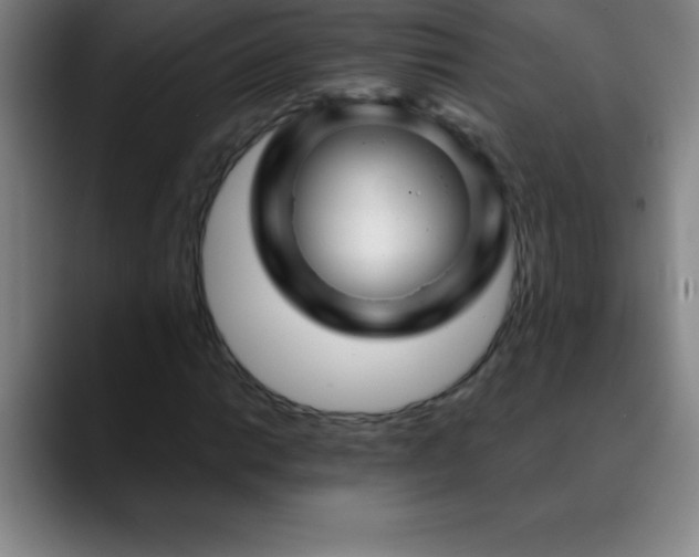 X0000088851014200706151713