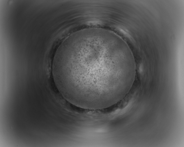 X0000088851015200706151713