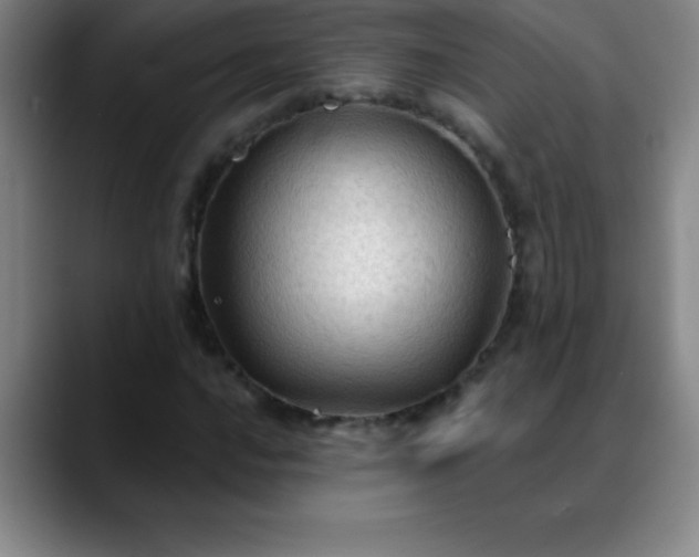 X0000088851016200706151713