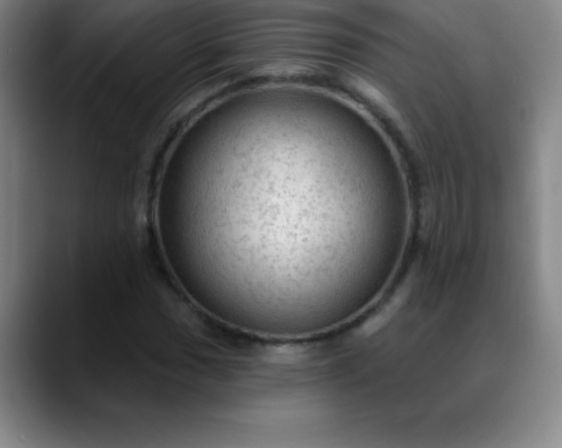 X0000088851017200706151713