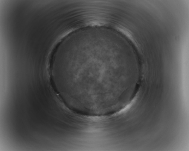 X0000088851018200706151713
