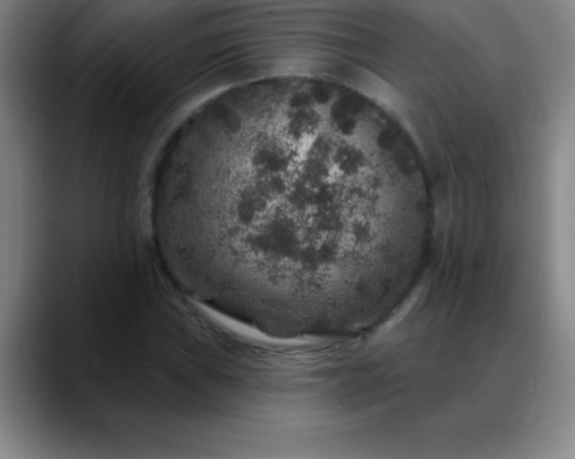 X0000088851019200706151713